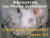 Nouveau! les photos cochonnes de tarninfo.com